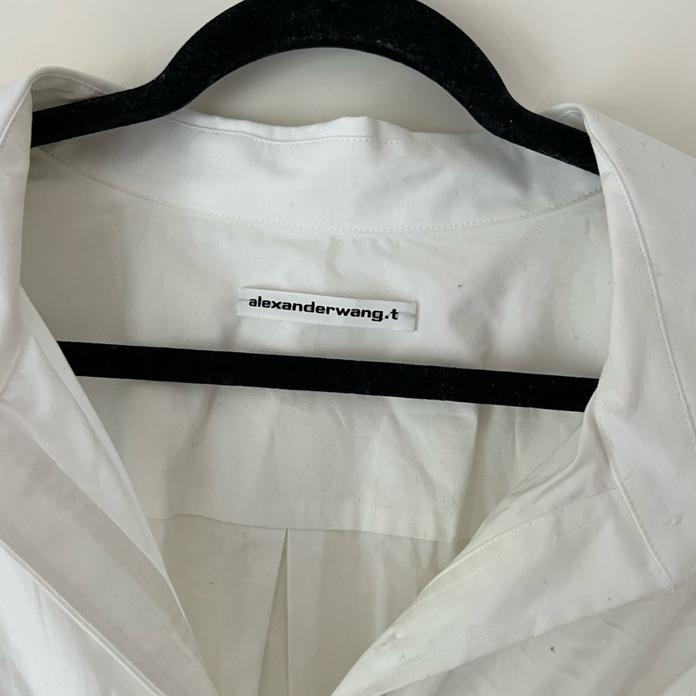 Alexander Wang shirt dress